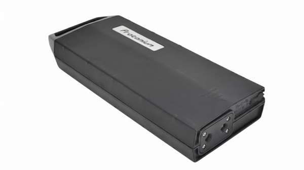 Renovering af Protanium BP L2410SH1 ( 36V )